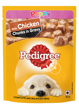 Pedigree Gravy Puppy Chicken Chunks 70g